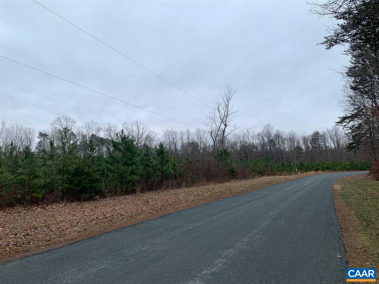 1 Paddock Wood Road Keswick, VA 22947 - Photo 4 of 9 a view of a rural road with plants