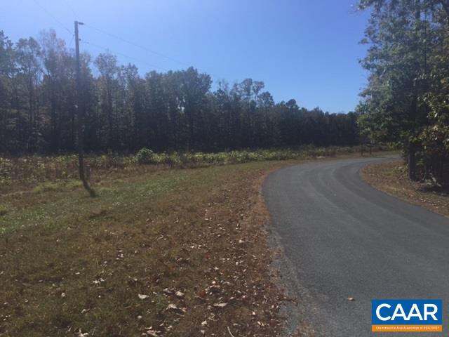 1 Paddock Wood Road Keswick, VA 22947 - Photo 5 of 9 a view of a dry yard with trees