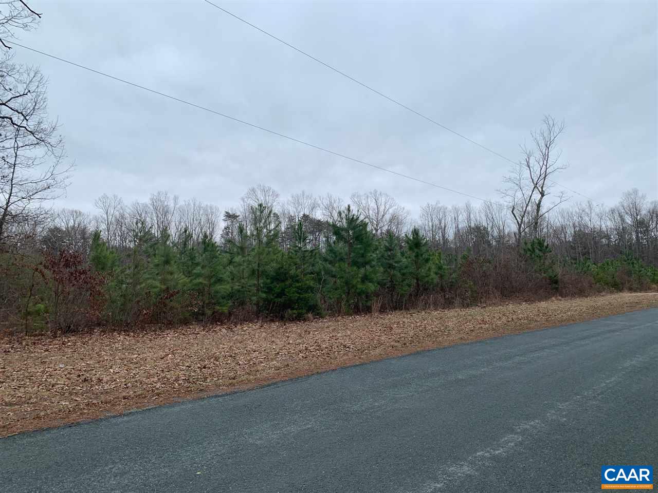1 Paddock Wood Road Keswick, VA 22947 - Photo 8 of 9 a view of a dry yard with trees in background