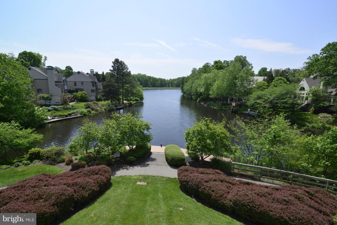 11506 Hemingway Drive Reston, VA 20194 - Photo 20 of 30 View from your lower level deck