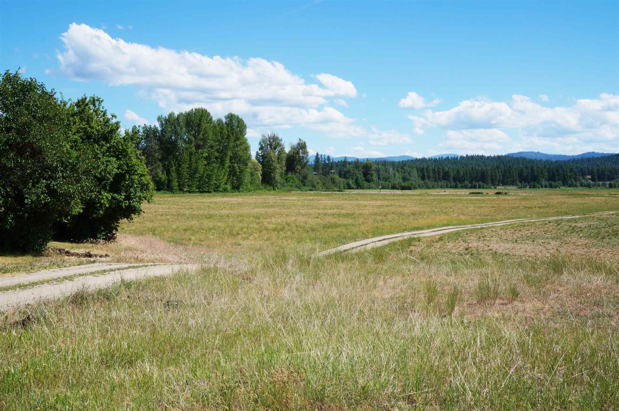 917 State Rte 20 Colville, WA 99114 - Photo 43 of 47