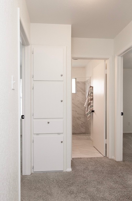 910 Garden View Drive Georgetown, TX 78628 - Photo 19 of 28 Linen closet located outside the 3 bedrooms