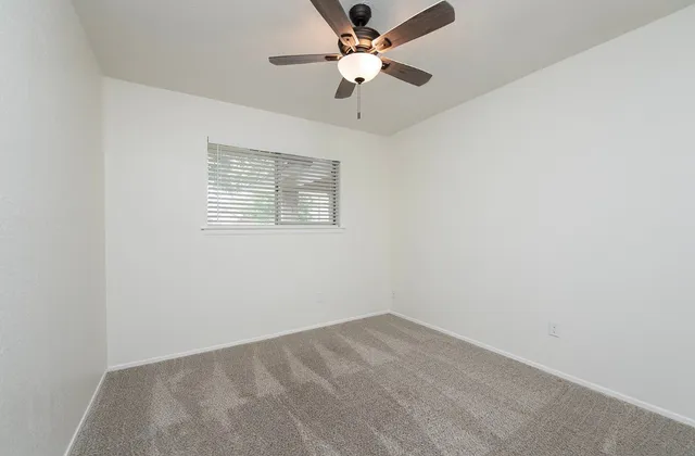 a view of a backyard with potted plants