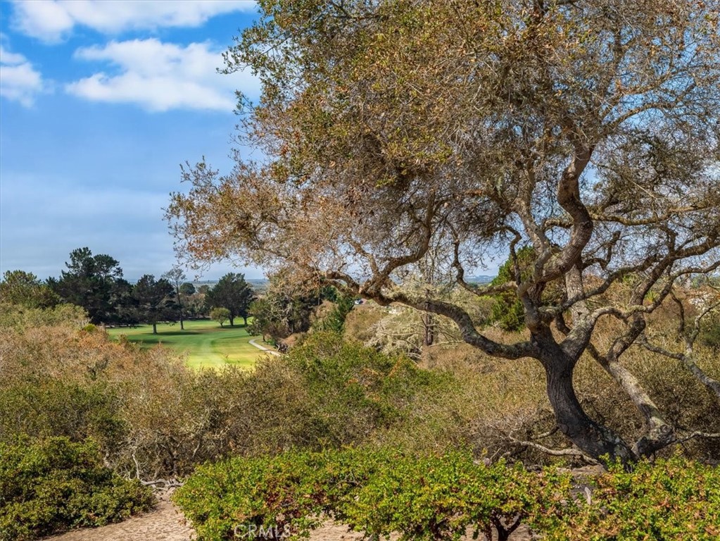 579 St Andrews Way Lompoc, CA 93436 - Photo 37 of 46