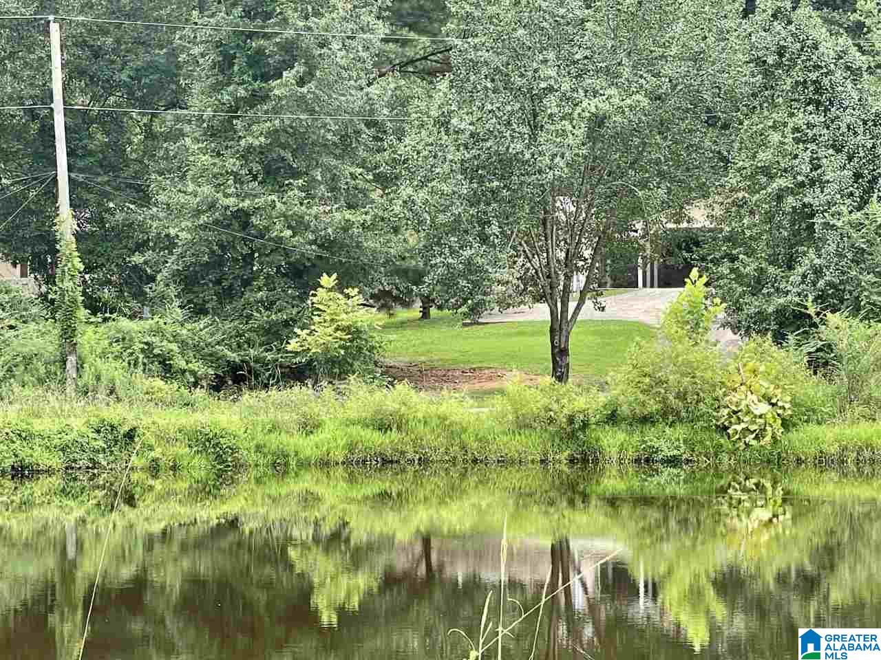 8743 Old Tennessee Pike Road Pinson, AL 35126 - Photo 8 of 49