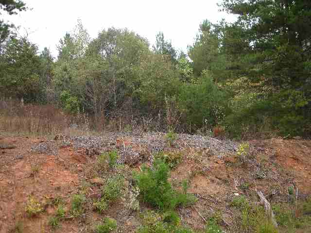 0 Hagood Mill Road Pickens, SC 29671 - Photo 3 of 5