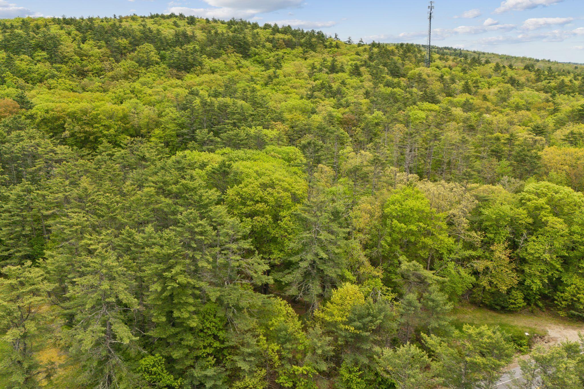 Lot 14 Emery Mills Road Shapleigh, ME 04076 - Photo 6 of 10 11_DJI_20250522212758_0012_D