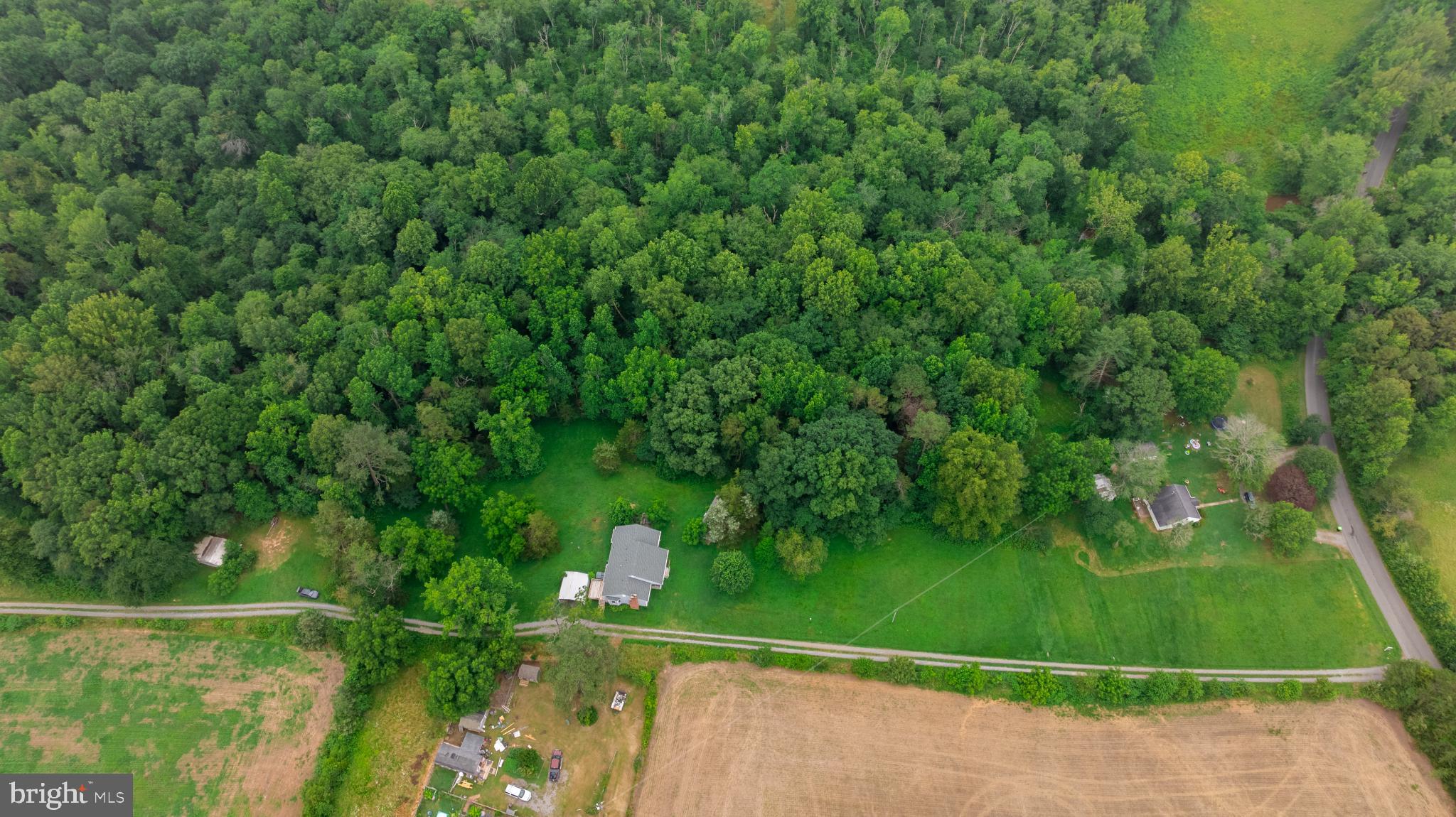 16302 Pleasant Mill Road Montpelier, VA 23192 - Photo 35 of 44 Lush greenery envelops serene countryside homes.