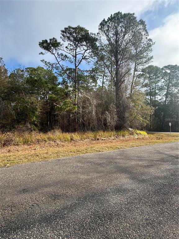 Locust Road Ocala, FL 34472 - Photo 2 of 7 a view of a yard with wooden fence