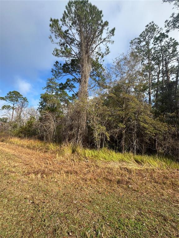 Locust Road Ocala, FL 34472 - Photo 4 of 7 a view of lake view