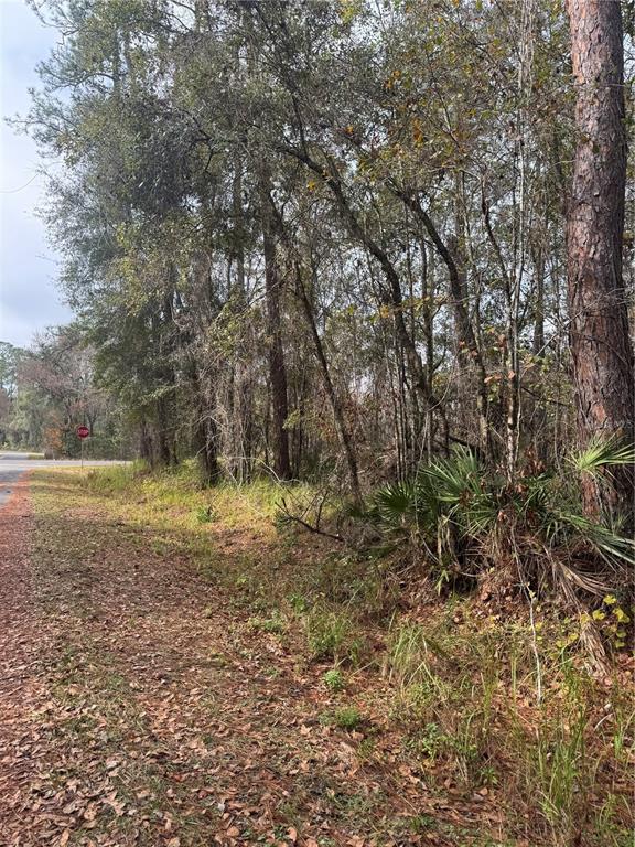 Locust Road Ocala, FL 34472 - Photo 5 of 7 a view of a yard with a trees