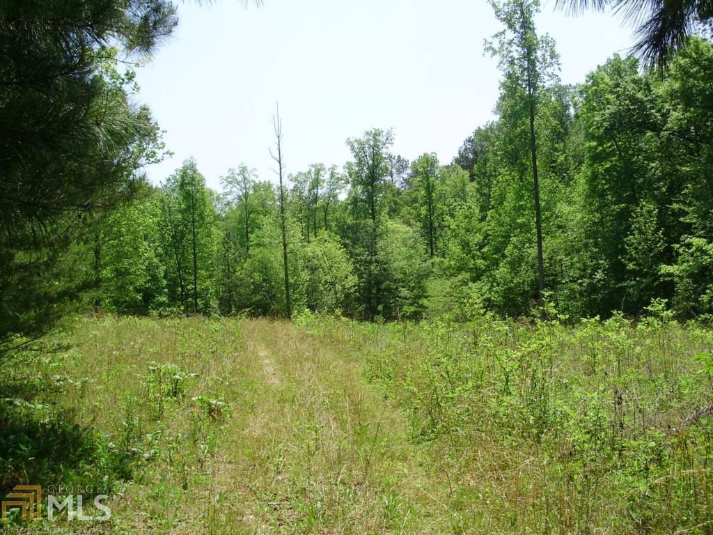 200 Nugget Ridge Road Dawsonville, GA 30534 - Photo 1 of 1 Gallery Image 1