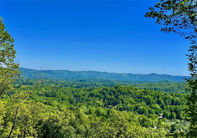 a view of a lush green outdoor space with a lake view