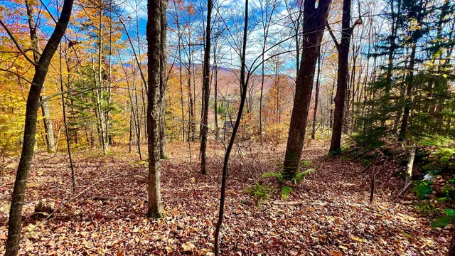 $169,000 | 2075 Codding Hollow Road, Johnson, VT 05656