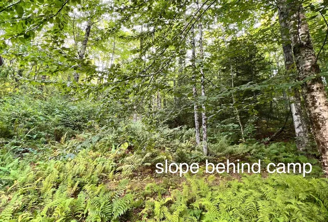 $169,000 | 2075 Codding Hollow Road, Johnson, VT 05656