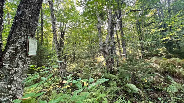 $169,000 | 2075 Codding Hollow Road, Johnson, VT 05656