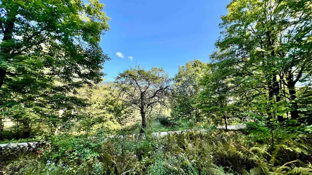 $169,000 | 2075 Codding Hollow Road, Johnson, VT 05656