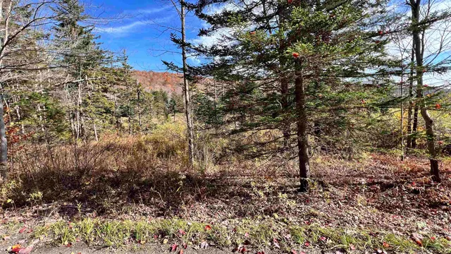 $169,000 | 2075 Codding Hollow Road, Johnson, VT 05656