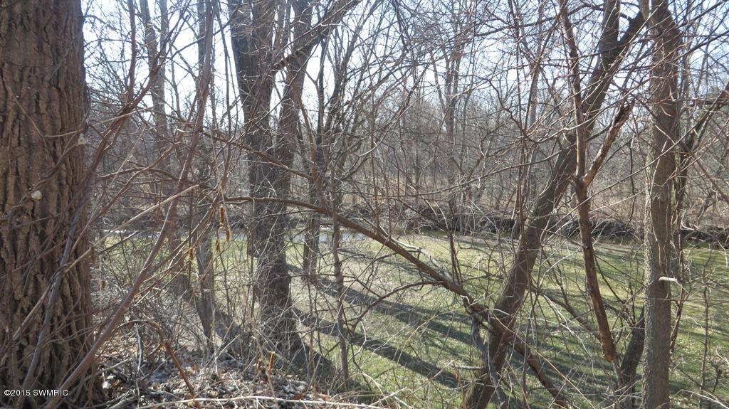 Mill Road New Troy, MI 49119 - Photo 12 of 17 IMG_0141.JPG