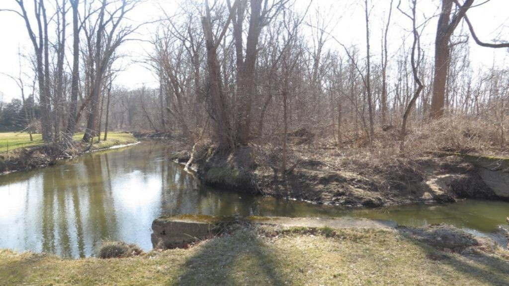 Mill Road New Troy, MI 49119 - Photo 16 of 17 IMG_0147.JPG