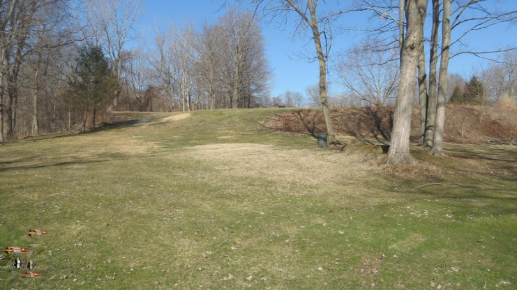 Mill Road New Troy, MI 49119 - Photo 3 of 17 IMG_0150.JPG