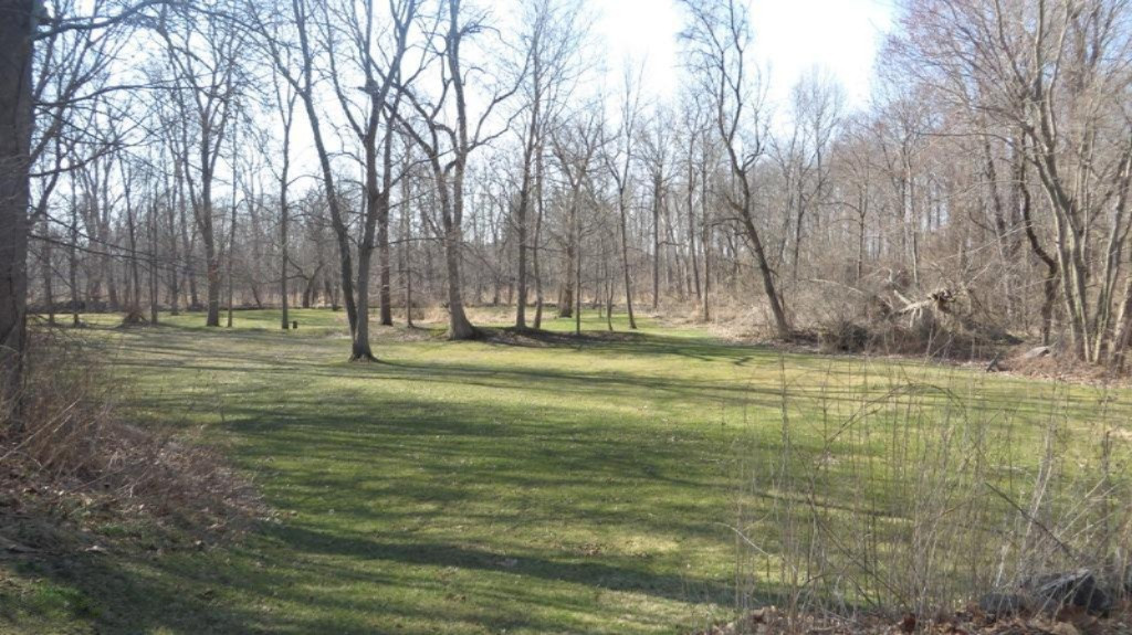 Mill Road New Troy, MI 49119 - Photo 9 of 17 IMG_0128.JPG