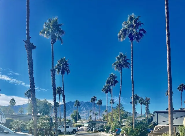 a view of a house with a palm tree