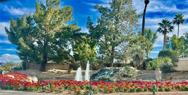 a view of a garden with flowers