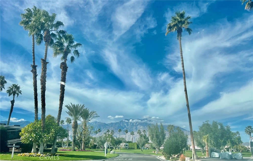 69411 Ramon Road, Unit 360 Cathedral City, CA 92234 - Photo 2 of 23 a view of a yard with a tree