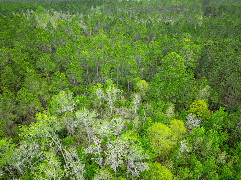 0 Morgan Road Waycross, GA 31503 - Photo 11 of 16