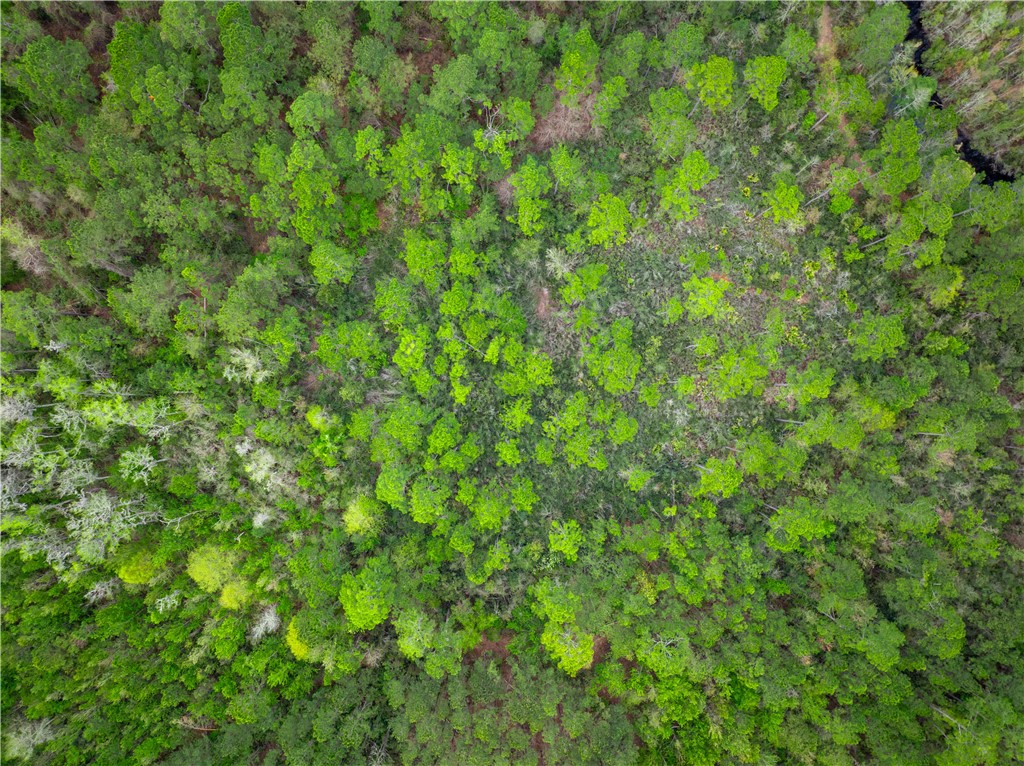 0 Morgan Road Waycross, GA 31503 - Photo 13 of 16