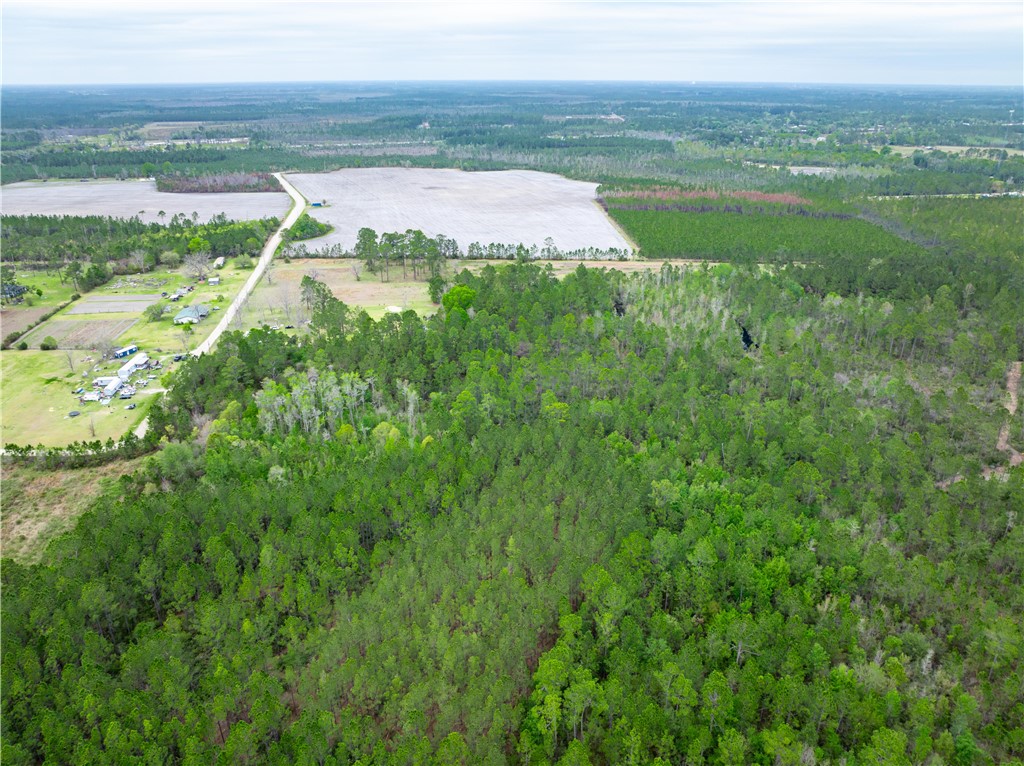 0 Morgan Road Waycross, GA 31503 - Photo 14 of 16