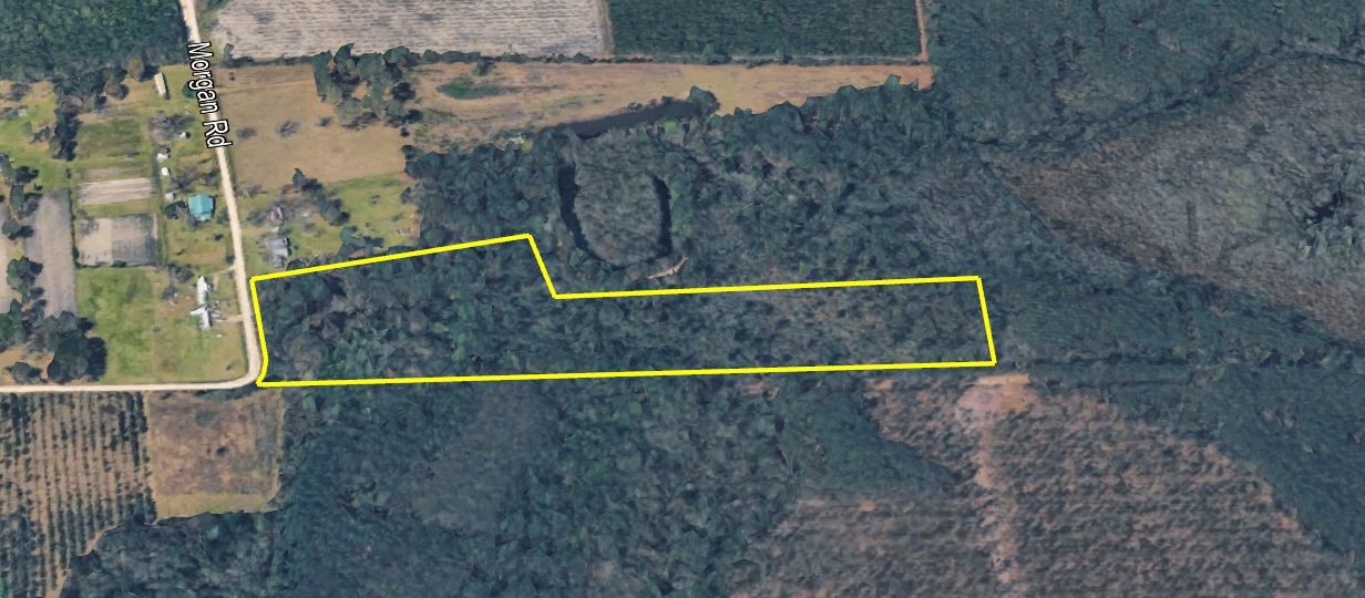 0 Morgan Road Waycross, GA 31503 - Photo 15 of 16