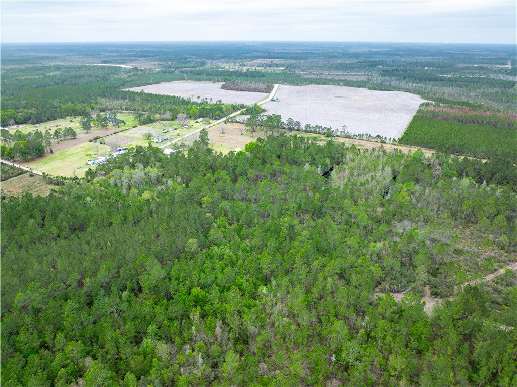 0 Morgan Road Waycross, GA 31503 - Photo 3 of 16