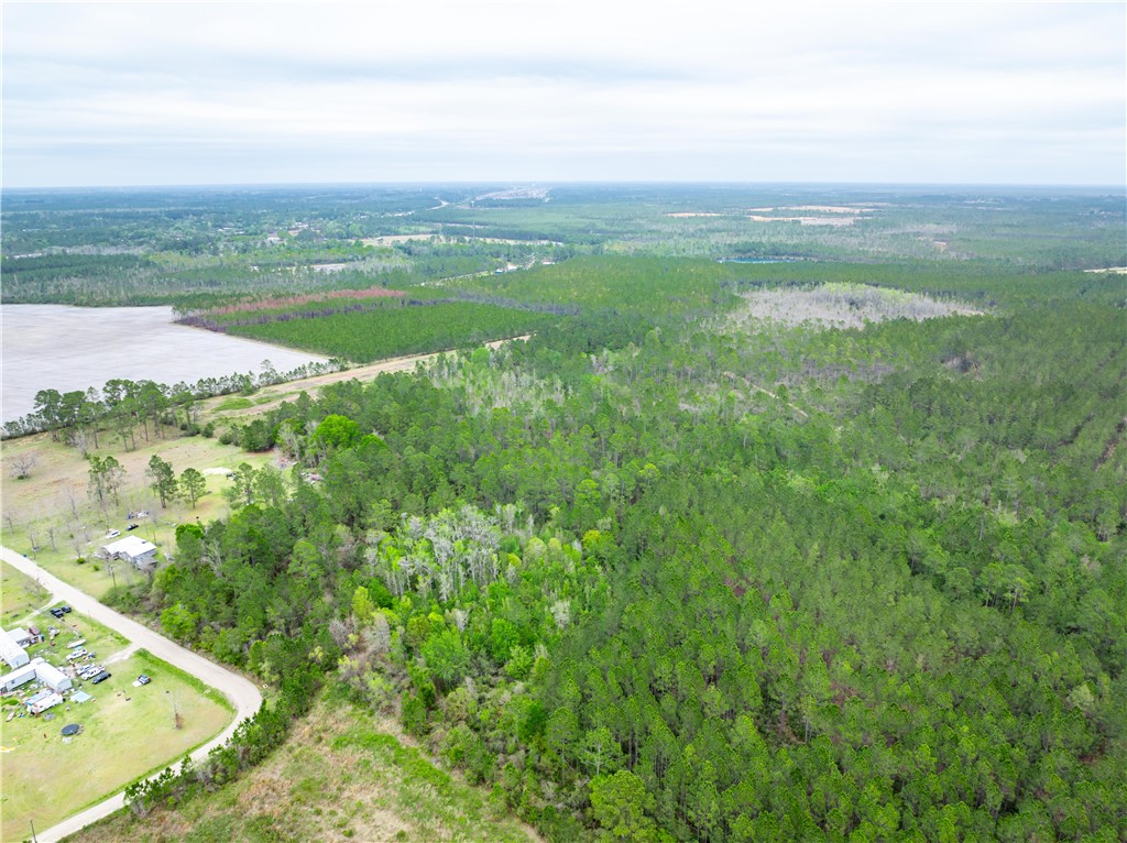 0 Morgan Road Waycross, GA 31503 - Photo 5 of 16