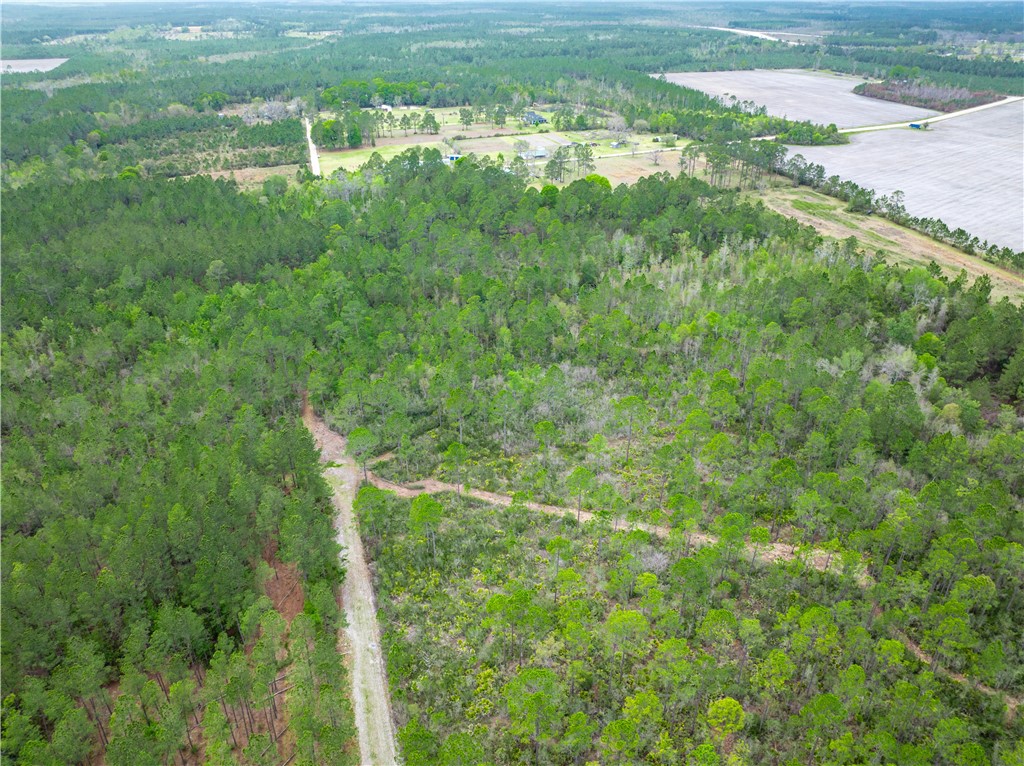 0 Morgan Road Waycross, GA 31503 - Photo 6 of 16