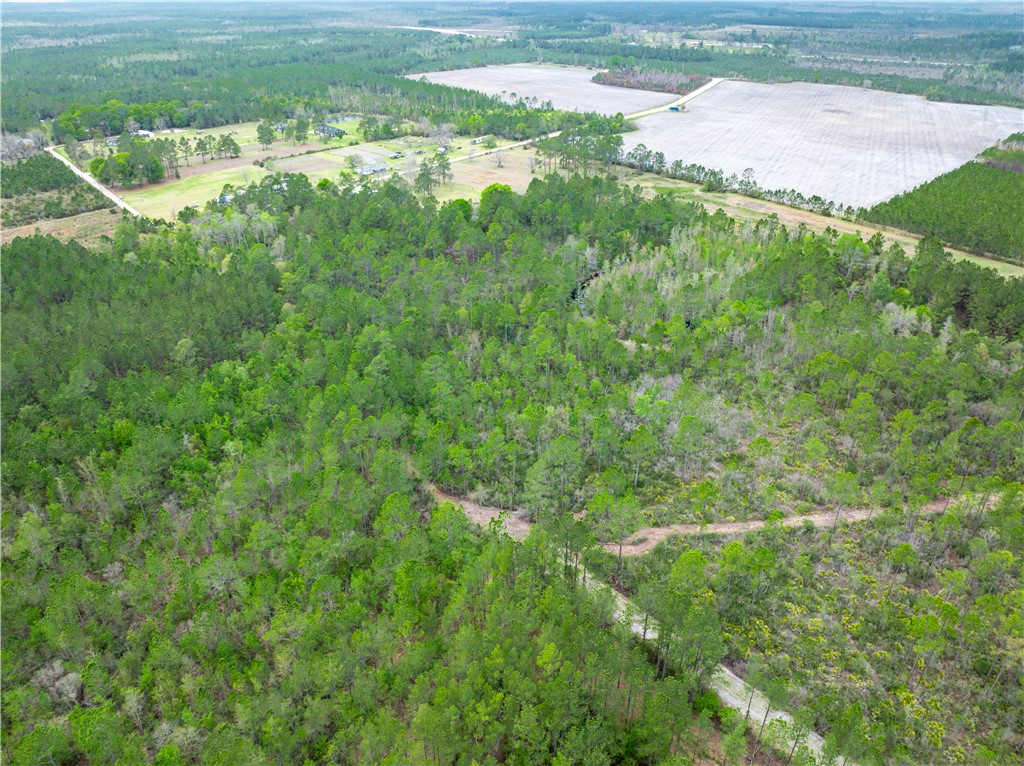 0 Morgan Road Waycross, GA 31503 - Photo 7 of 16