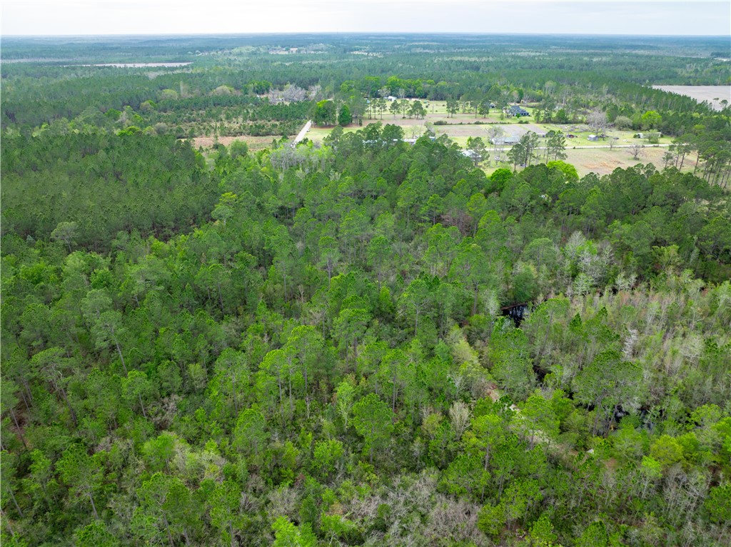 0 Morgan Road Waycross, GA 31503 - Photo 8 of 16