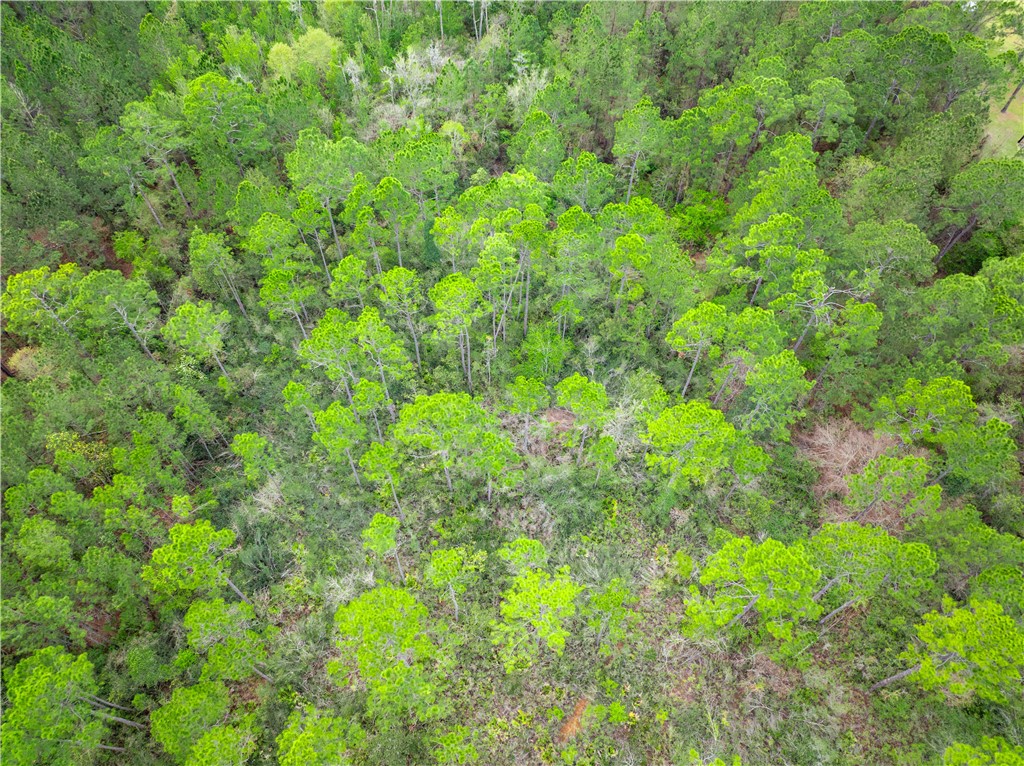 0 Morgan Road Waycross, GA 31503 - Photo 9 of 16