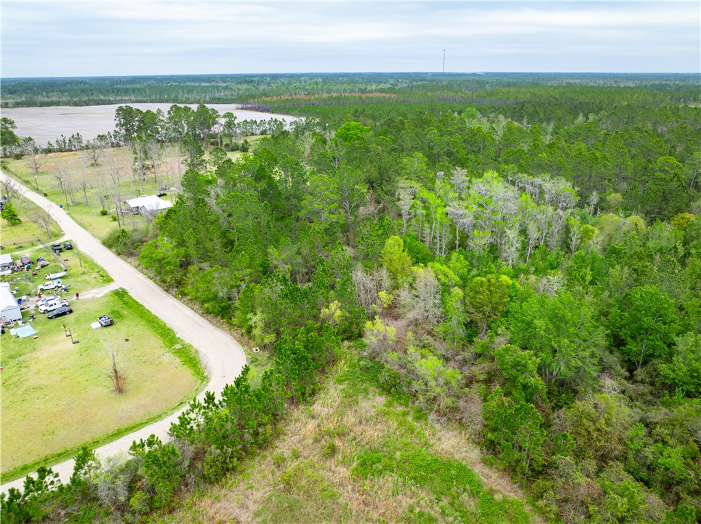 0 Morgan Road Waycross, GA 31503 - Photo 10 of 16