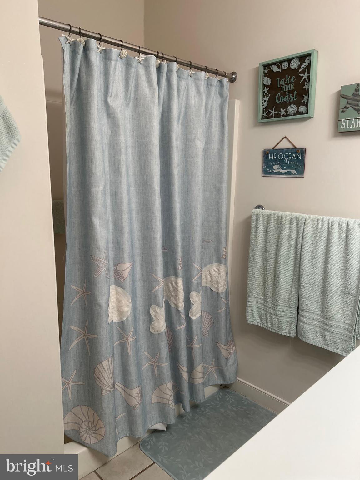 30611 Cedar Neck Road, Unit 2201 Ocean View, DE 19970 - Photo 31 of 60 Walk-in shower