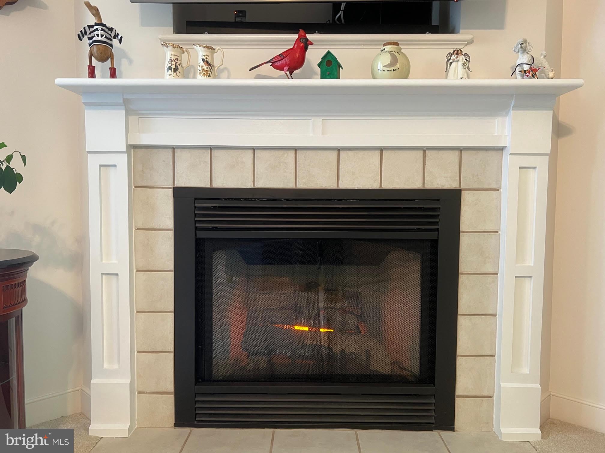 30611 Cedar Neck Road, Unit 2201 Ocean View, DE 19970 - Photo 5 of 60 Fireplace with mantel