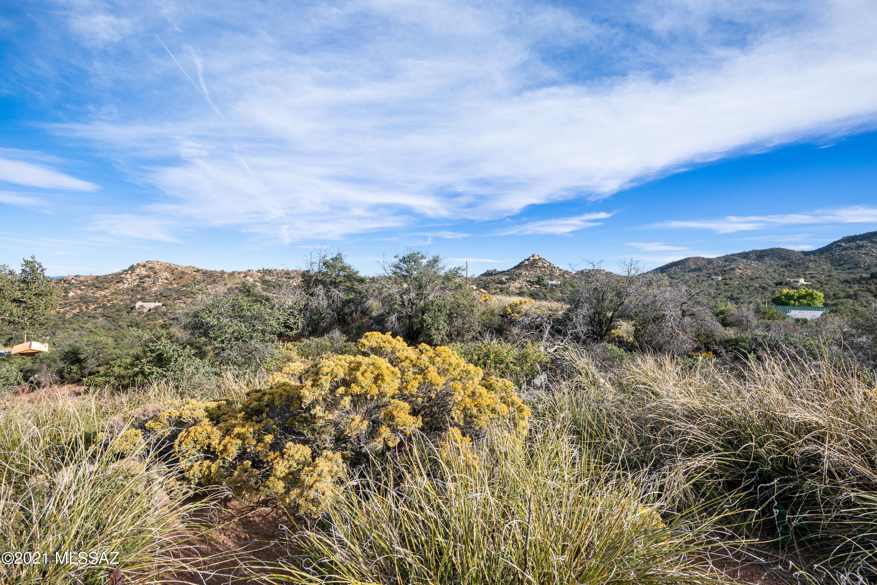 35 South Hobe Road Oracle, AZ 85623 - Photo 8 of 26