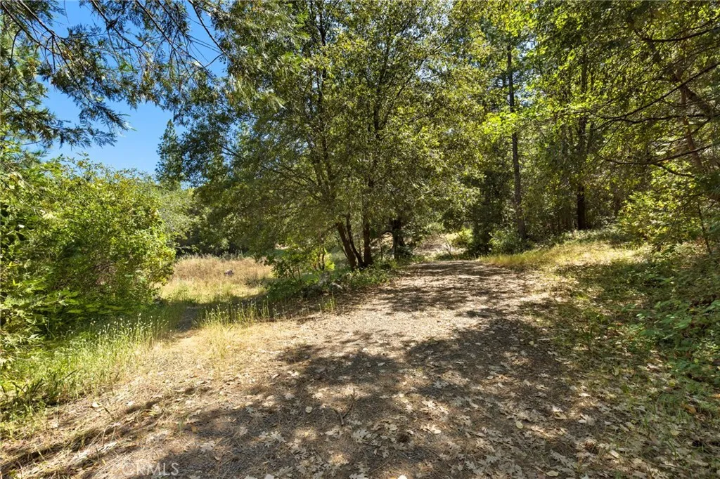 7859 Reed Rackerby, CA 95972 - Photo 11 of 22