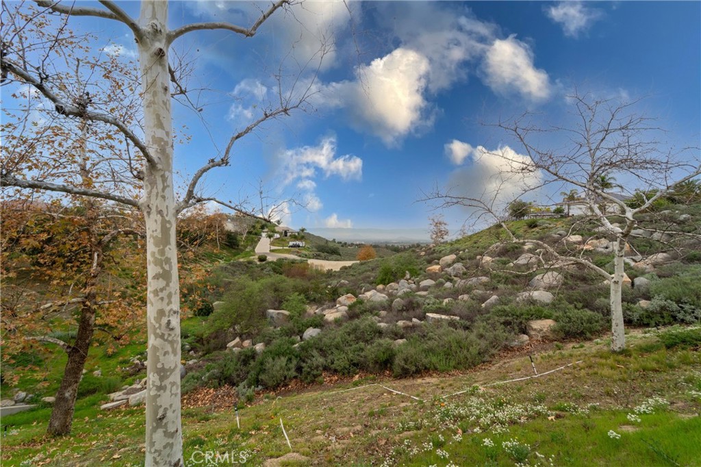 17191 Greentree Drive Riverside, CA 92503 - Photo 45 of 53 a view of a yard