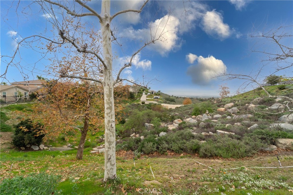 17191 Greentree Drive Riverside, CA 92503 - Photo 46 of 53 a view of a yard