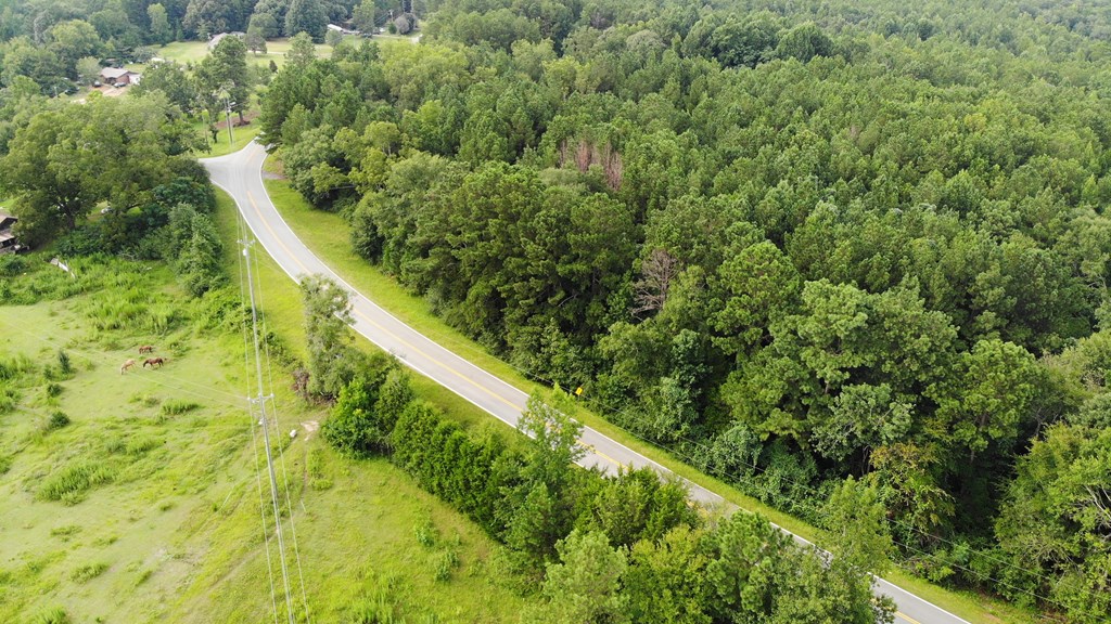 357 Baughs Xrds Point West Point, GA 31833 - Photo 3 of 9