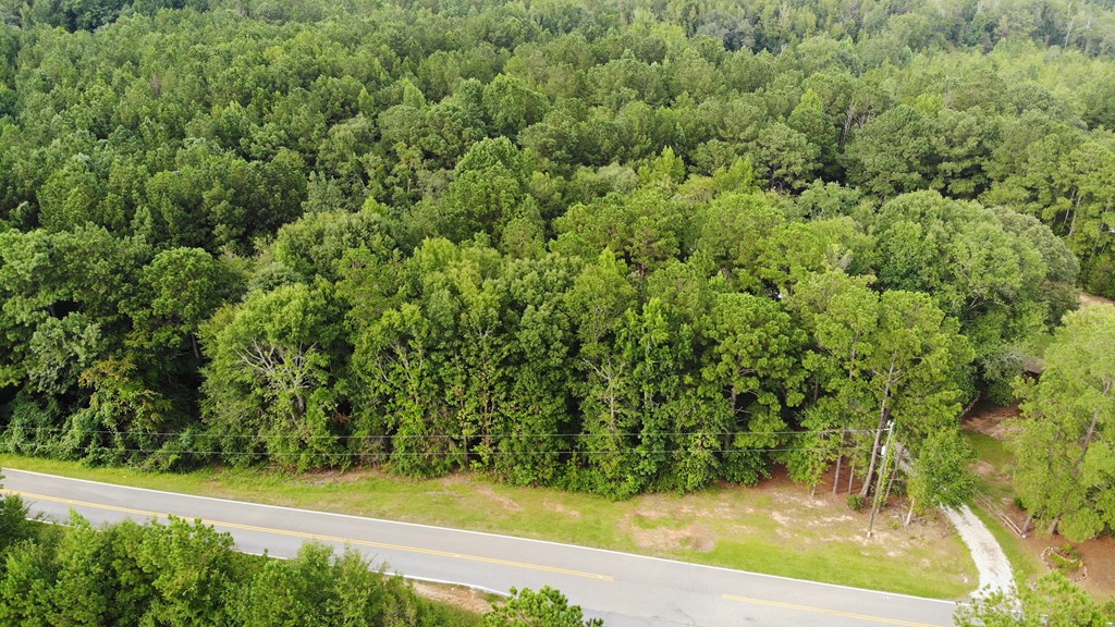 357 Baughs Xrds Point West Point, GA 31833 - Photo 5 of 9