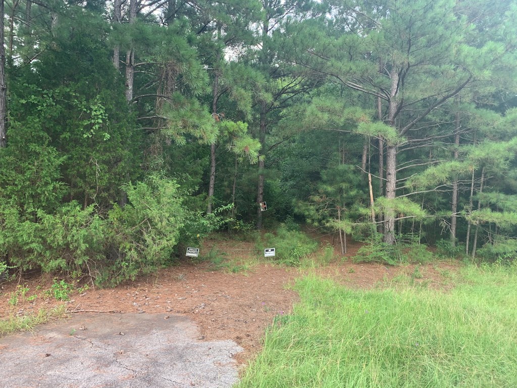 357 Baughs Xrds Point West Point, GA 31833 - Photo 8 of 9