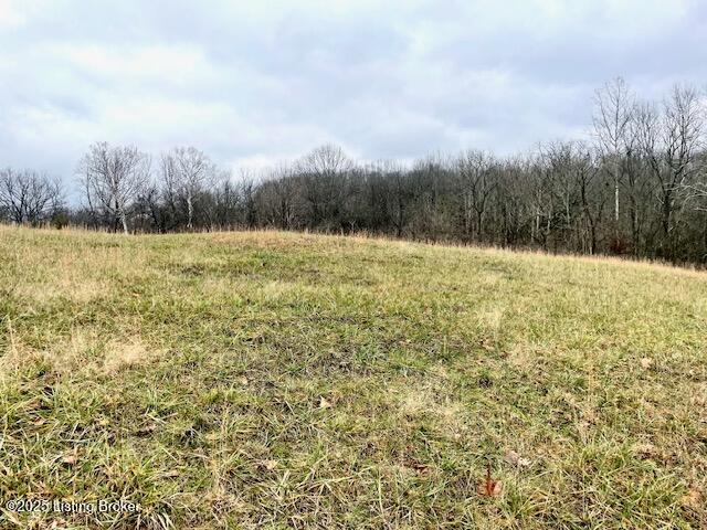 5 Timber Creek Road Bloomfield, KY 40008 - Photo 5 of 16 TC 5 Acres_3